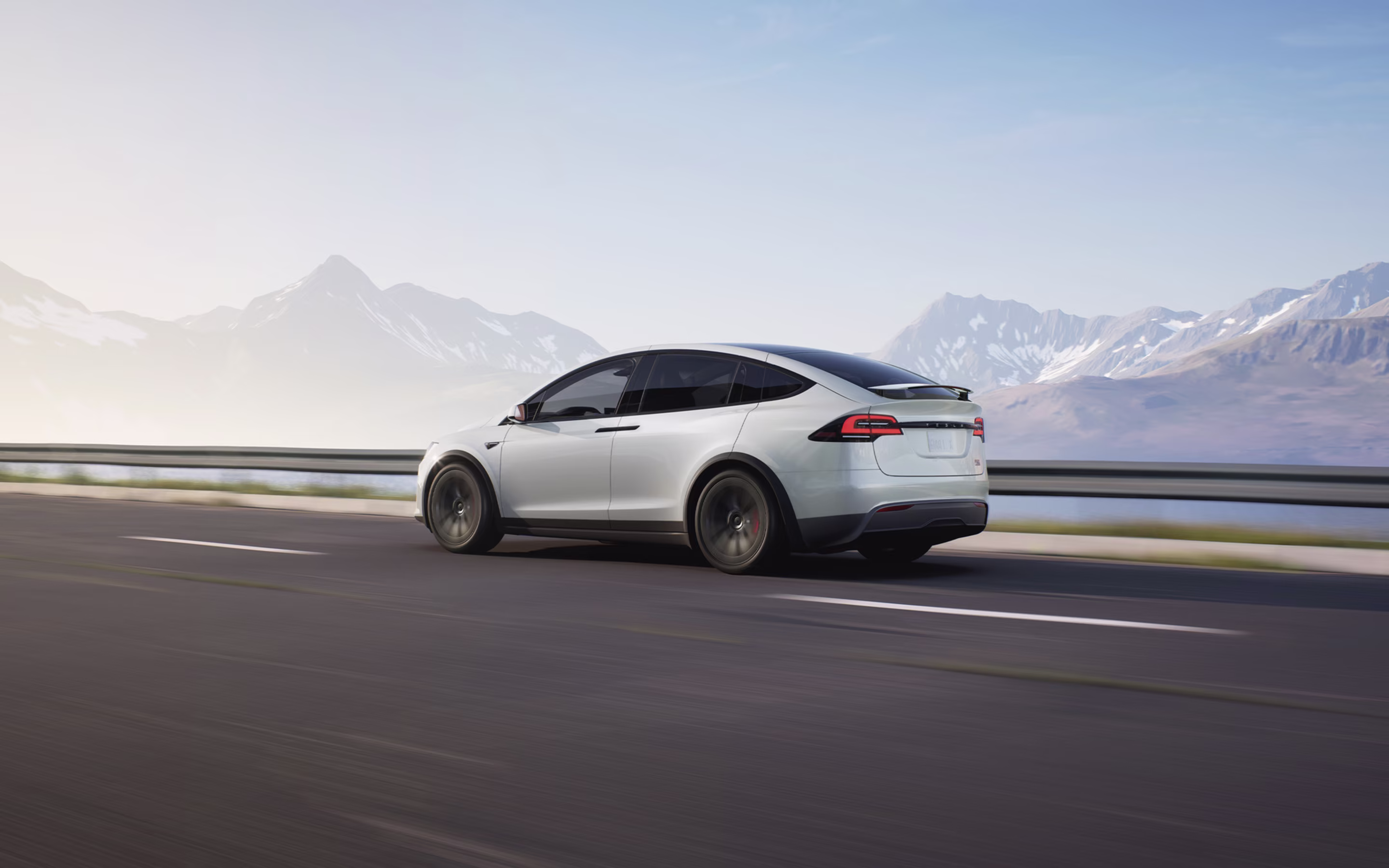 Model X